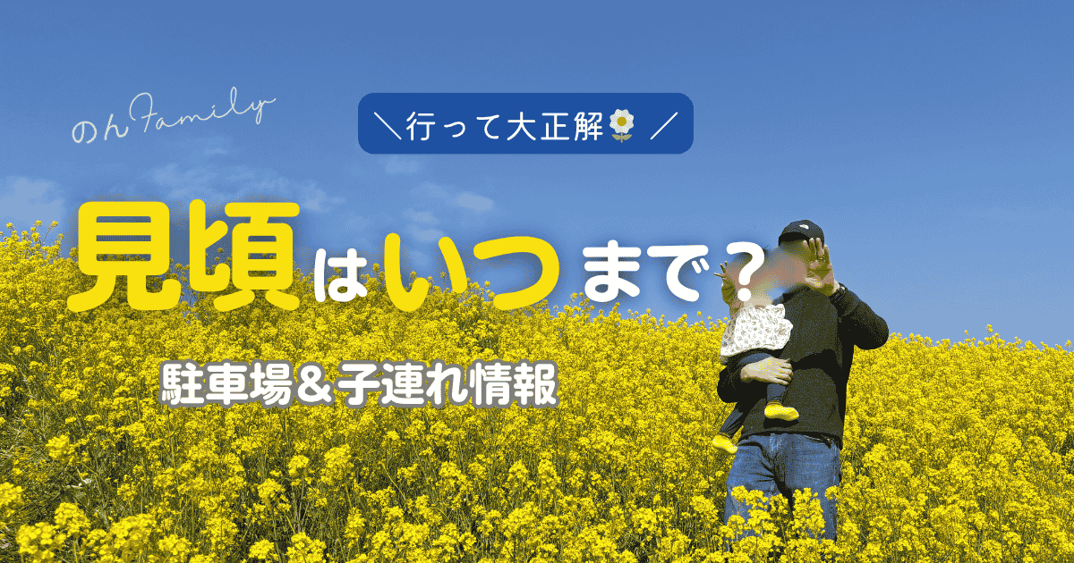江戸川の菜の花の見頃はいつまで 2026年春 子連れで行ったレビューと駐車場情報