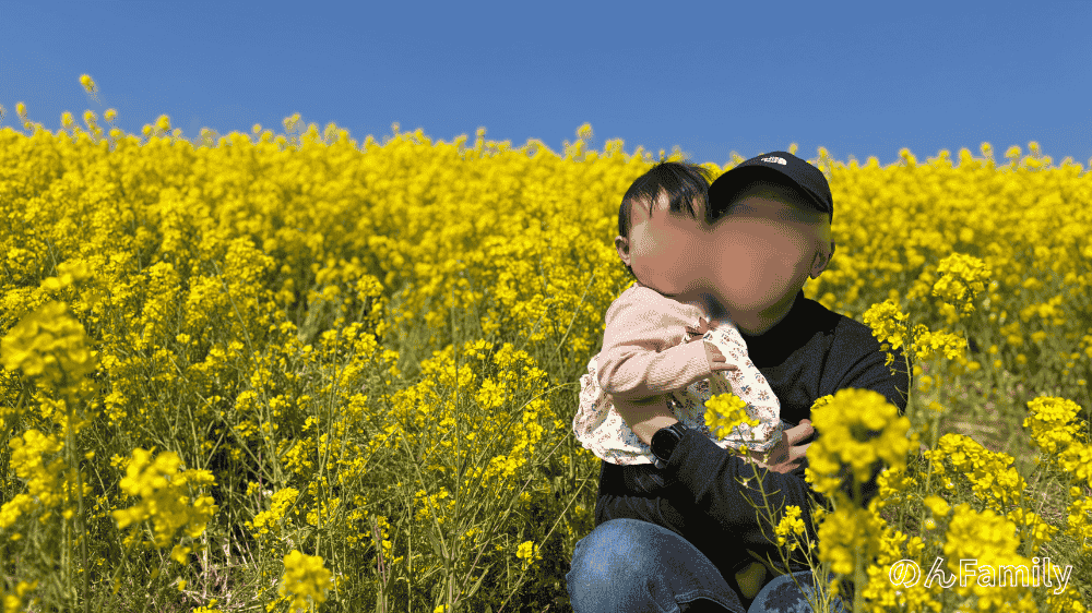 江戸川の菜の花畑で1歳児と撮った写真 アップ構図で撮る子連れフォト