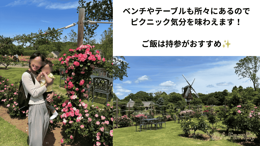 ふなばしアンデルセン公園のバラ園と風車が見える芝生エリア。ベンチやテーブルがありピクニック気分でご飯を楽しめる様子を解説した画像。