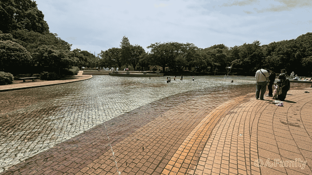 ふなばしアンデルセン公園の「にじの池」の全体風景。浅瀬が広く、子連れファミリーが水遊びを楽しんでいます。
