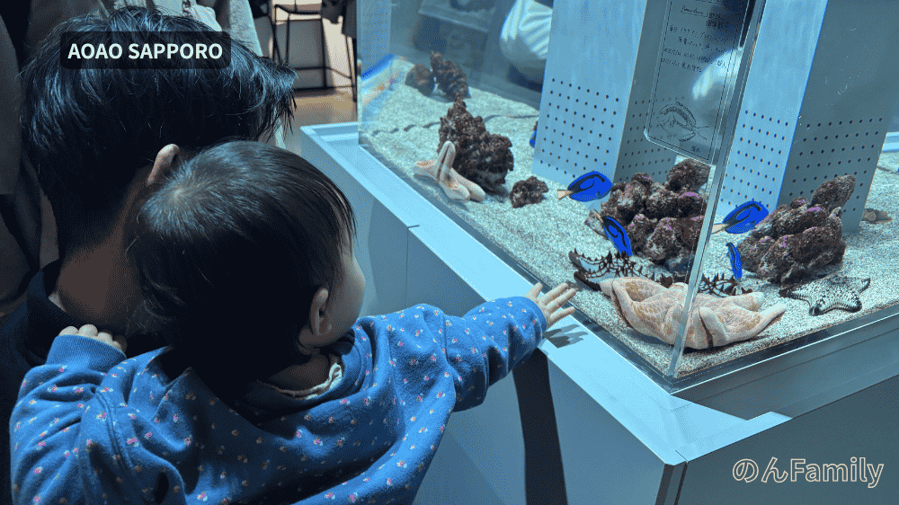AOAO SAPPOROの館内で、低い位置にある水槽の中の青い魚やヒトデを興味深そうに覗き込み、手を伸ばす1歳児とパパの後ろ姿