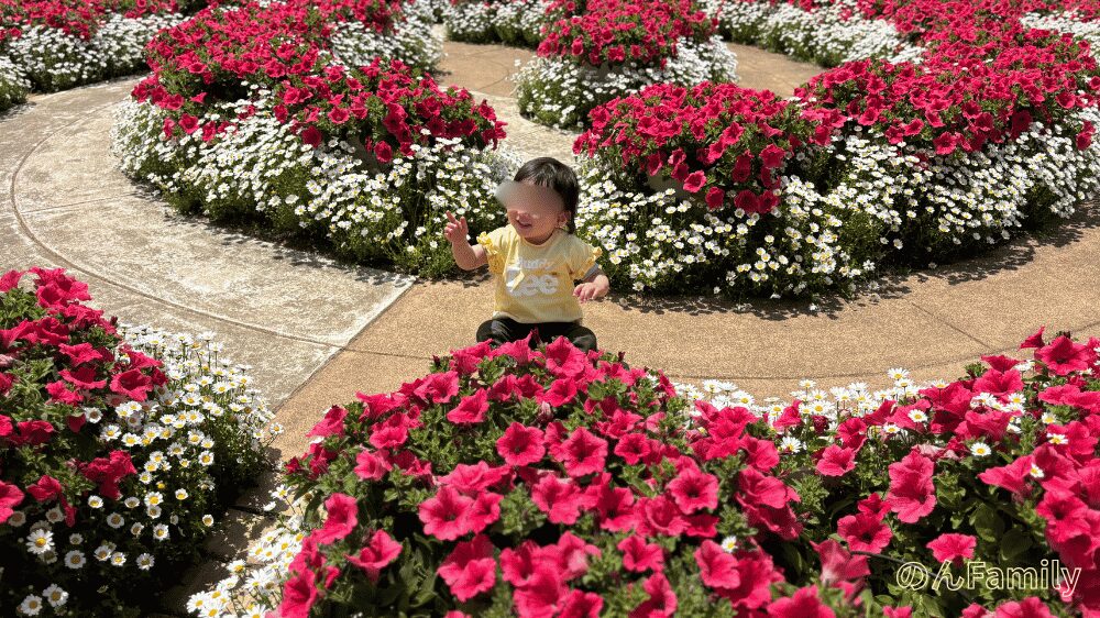 ふなばしアンデルセン公園の「花の城ゾーン」にある、綺麗に手入れされた渦巻き状の花壇の間を歩く子ども。