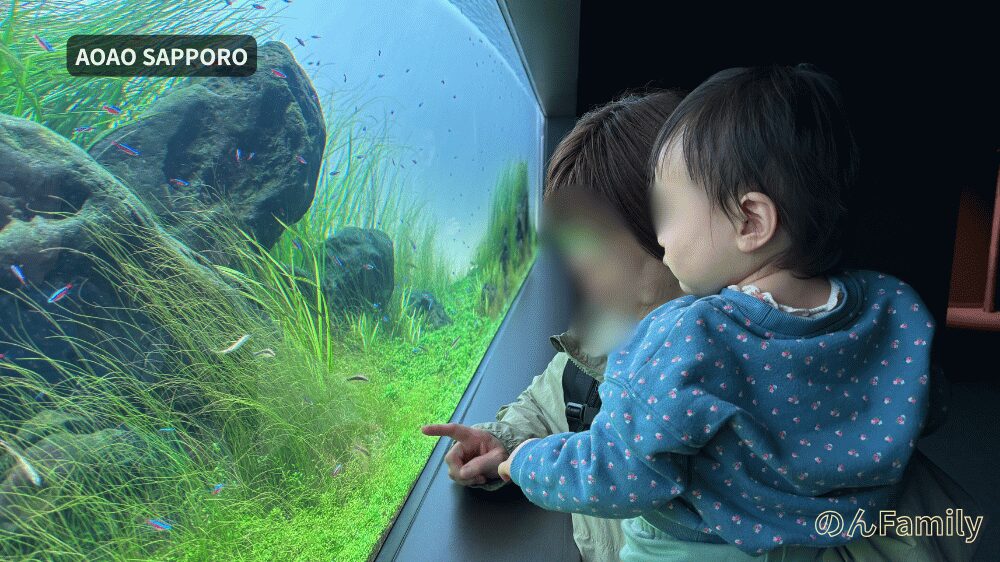 AOAO SAPPOROの大きな水草水槽の前で、泳ぐ小さな熱帯魚を指さして見つめる、抱っこされた1歳児と大人の横顔