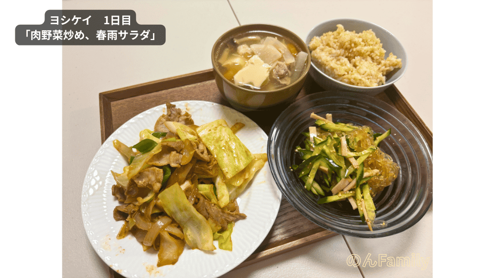 ヨシケイのお試しセット1日目で作った肉野菜炒めと春雨サラダの完成写真
